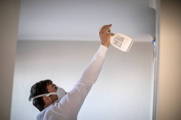Mold Testing and Removal in Arthur, IL