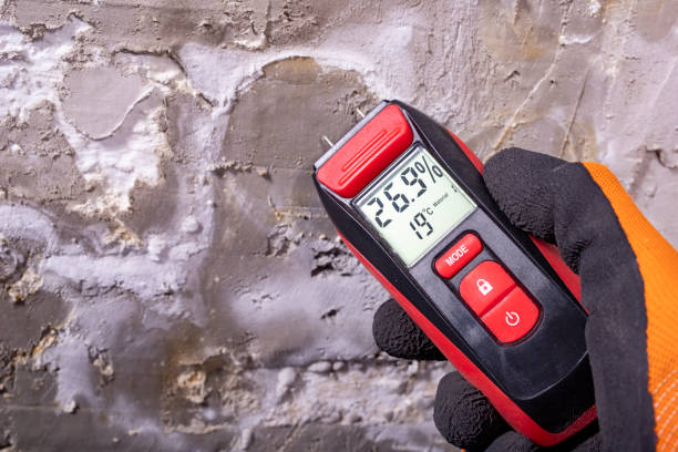 Best Mold Remediation  in Arthur, IL