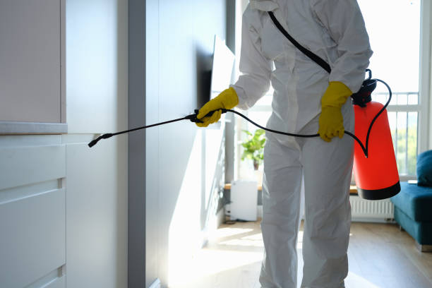 Best Mold Testing  in Arthur, IL