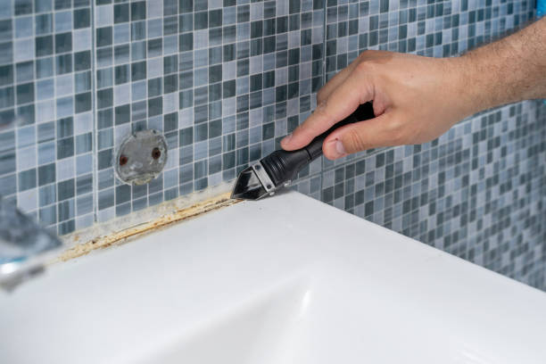 Best Mold Testing  in Arthur, IL