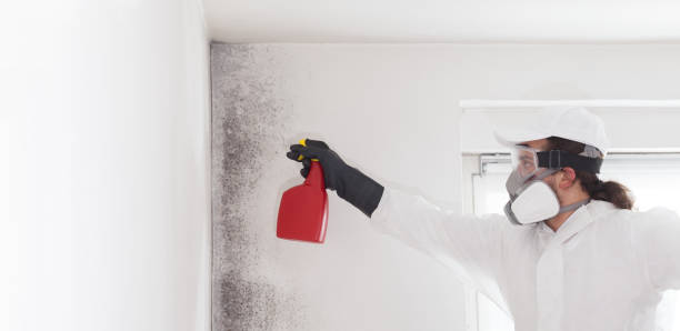Water Damage Restoration in Arthur, IL
